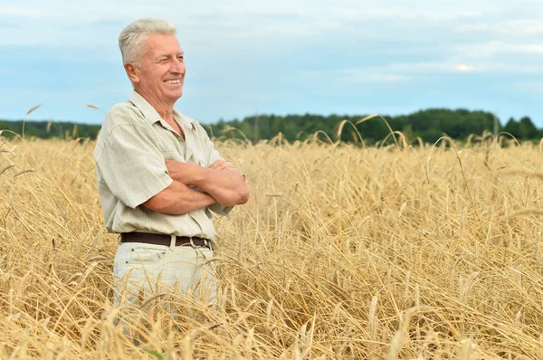 Mature man enjoying on nature — Stock Photo, Image