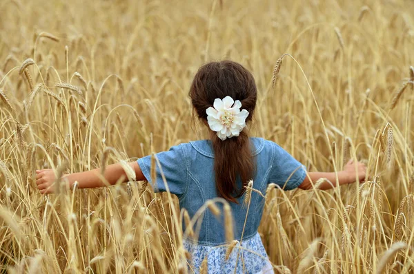Симпатичная Девочка Пшеничном Поле — стоковое фото