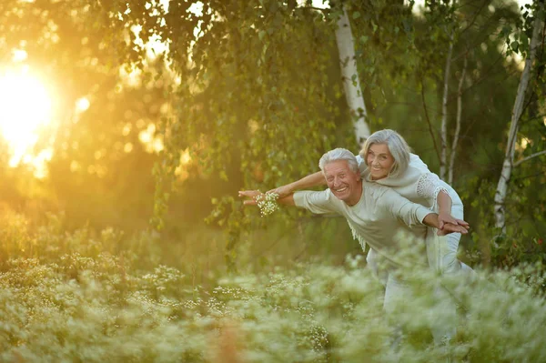 Liebendes Reifes Paar Sommerpark — Stockfoto