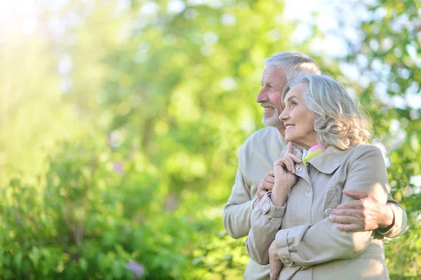 Retrato Feliz Pareja Ancianos Descansando Parque Primavera —  Fotos de Stock