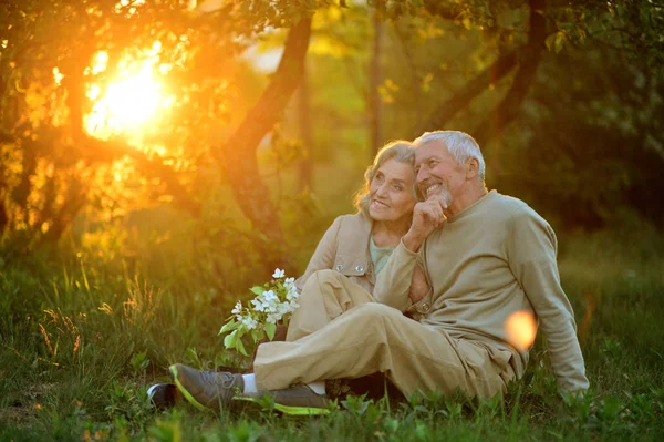 Heureux Couple Âgé Assis Extérieur — Photo