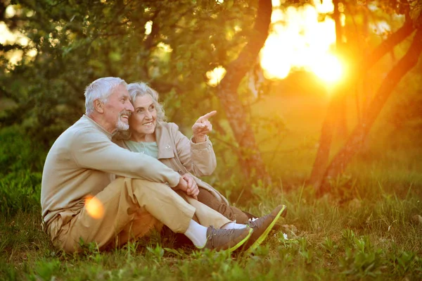 坐在户外的快乐年长夫妇 — 图库照片