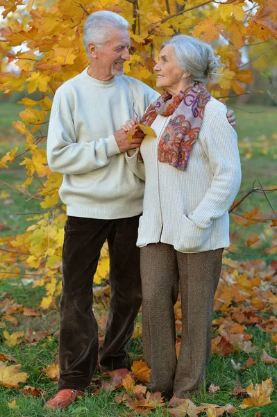 Счастливая Пожилая Пара Осеннем Парке — стоковое фото