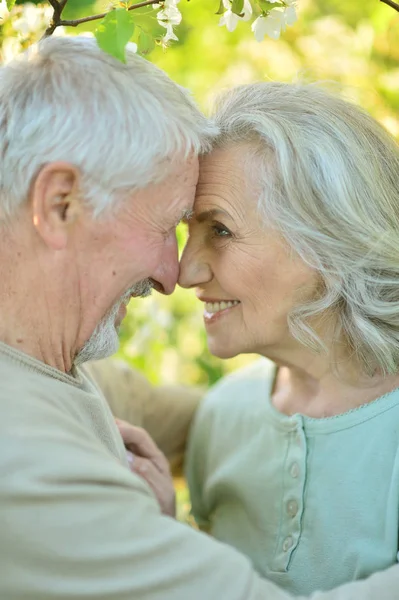 Retrato Feliz Pareja Ancianos Descansando Parque Primavera — Foto de Stock