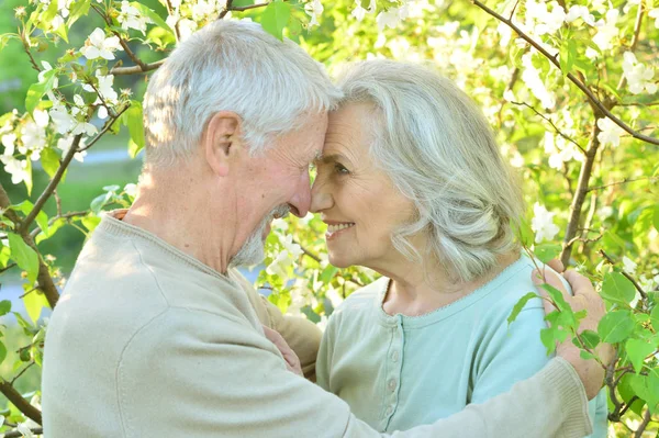 Portret Van Gelukkige Senior Paar Rusten Voorjaar Park — Stockfoto