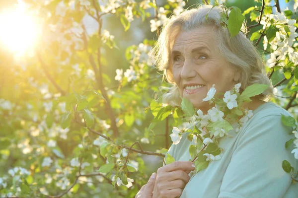 Beautiful senior woman — Stock Photo, Image