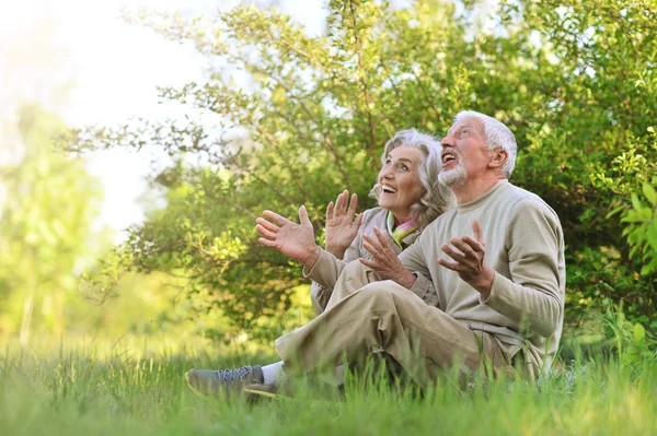 Feliz Pareja Ancianos Sentados Aire Libre —  Fotos de Stock