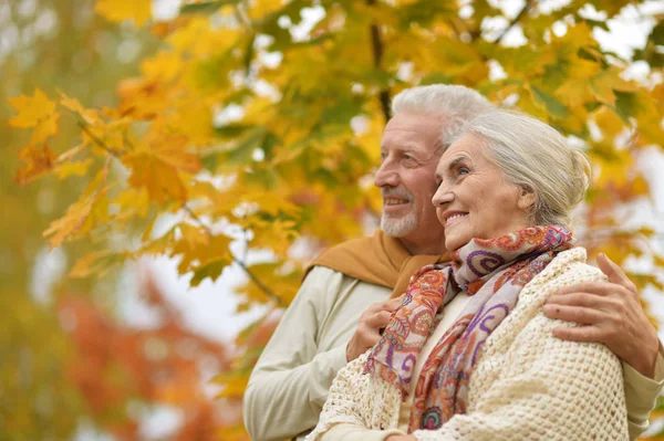 Heureux Couple Aîné Dans Parc Automne — Photo