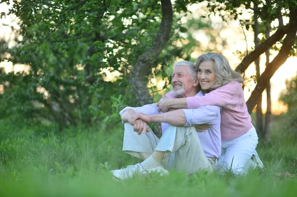 Portrait of happy senior couple — Stock Photo, Image