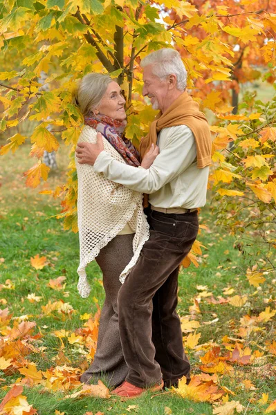 Heureux Couple Aîné Dans Parc Automne — Photo