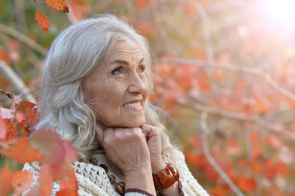 Gelukkig Beautifil Oudere Vrouw Poseren Park — Stockfoto