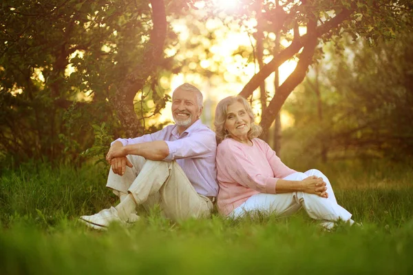 Porträt eines glücklichen Senioren-Paares — Stockfoto