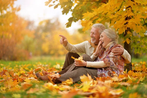 Gelukkige Senior Paar Herfst Park Vergadering — Stockfoto
