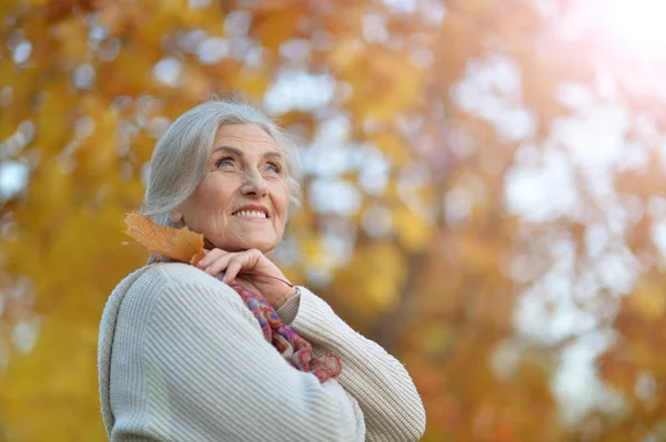 Feliz Beautifil Anciana Posando Parque — Foto de Stock