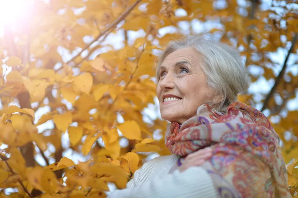 Glücklich Beautifil Ältere Frau Posiert Park — Stockfoto