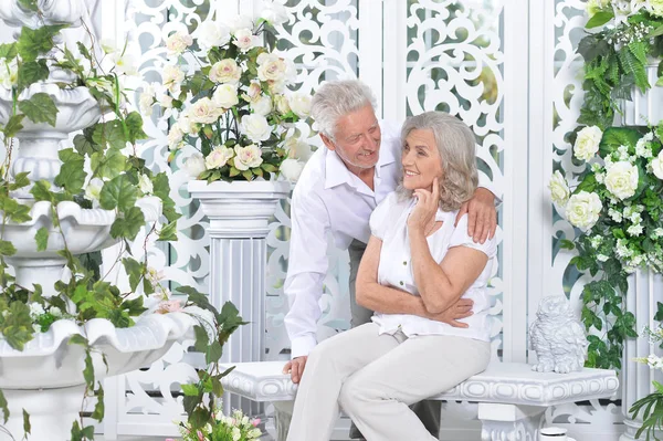 Пожилая пара позирует в светлой комнате — стоковое фото