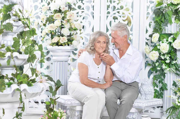 Pareja de ancianos posando en sala de luz —  Fotos de Stock