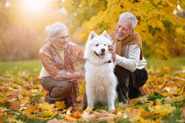 Portrait Beautiful Caucasian Senior Couple Dog Autumn Park — Stock Photo, Image