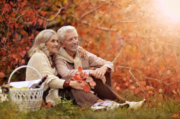 Senior koppel buitenshuis — Stockfoto