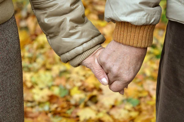 Elderly Couple Holding Hands Autumn Park — Stock Photo, Image