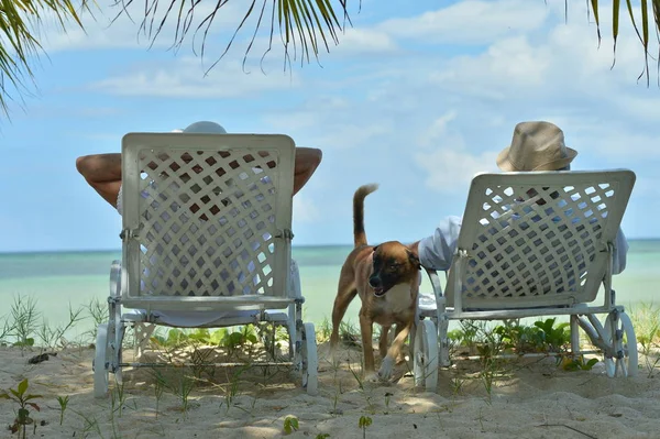 Bejaarde echtpaar rusten op tropisch strand — Stockfoto