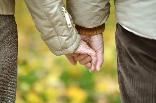 高齢者のカップルの秋の公園で手を繋いで — ストック写真