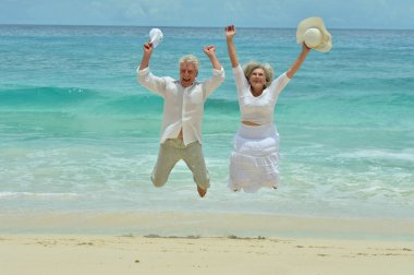 elderly couple rest at tropical beach clipart