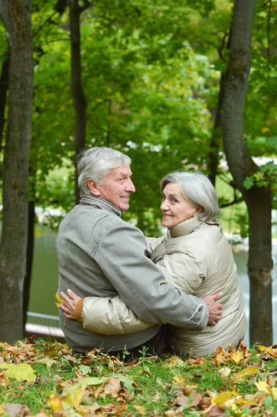 Feliz Casal Sênior Abraçando Parque Outono — Fotografia de Stock