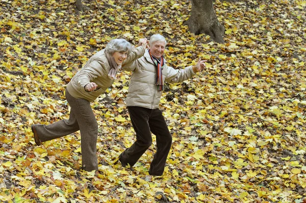 Hermosa pareja de edad — Foto de Stock