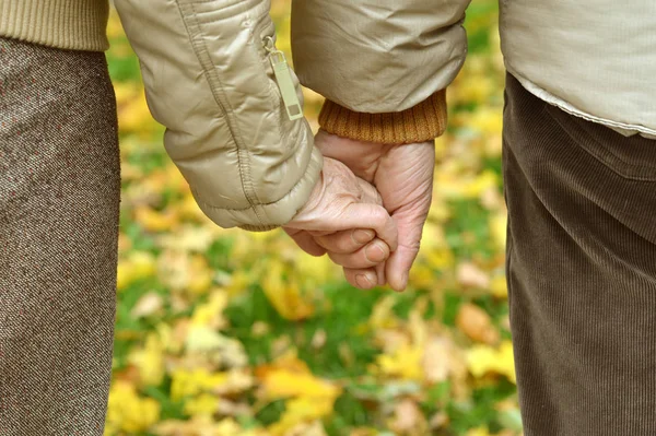 Älteres Ehepaar Hält Händchen Herbstpark — Stockfoto