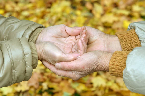 Cuplu Vârstă Care Țin Mână Parcul Toamnă — Fotografie, imagine de stoc