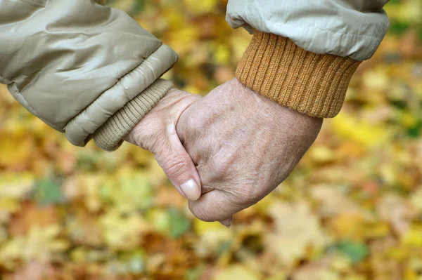 Ηλικιωμένους Ζευγάρι Χέρια Εκμετάλλευσης Στο Πάρκο Φθινόπωρο — Φωτογραφία Αρχείου