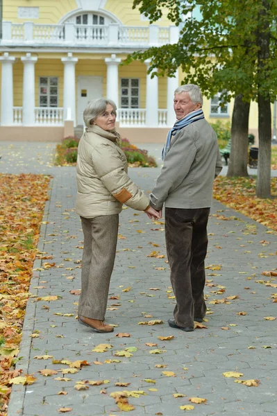 Seniorenpaar in park — Stockfoto