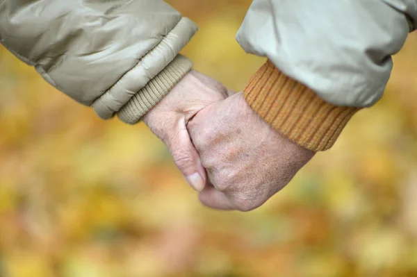 Ouderen Paar Bedrijf Handen Herfst Park — Stockfoto