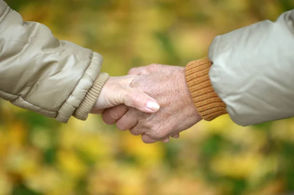 Pareja Ancianos Tomados Mano Otoño Parque —  Fotos de Stock