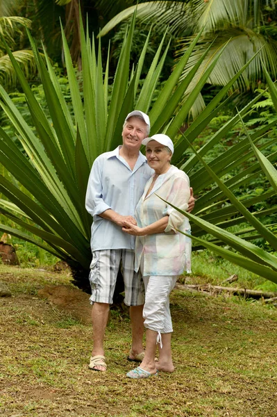 Elderly couple  at tropical beach — Stock Photo, Image