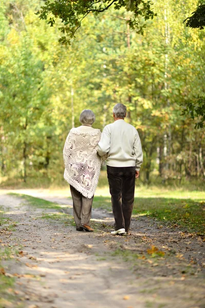 Oud koppel in park — Stockfoto