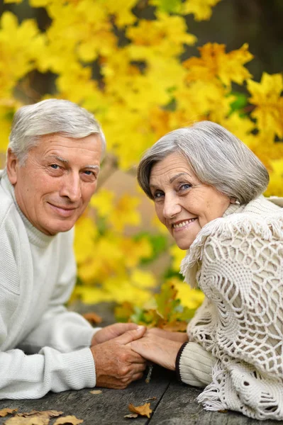 Elderly couple at table in forest — Stock Photo, Image