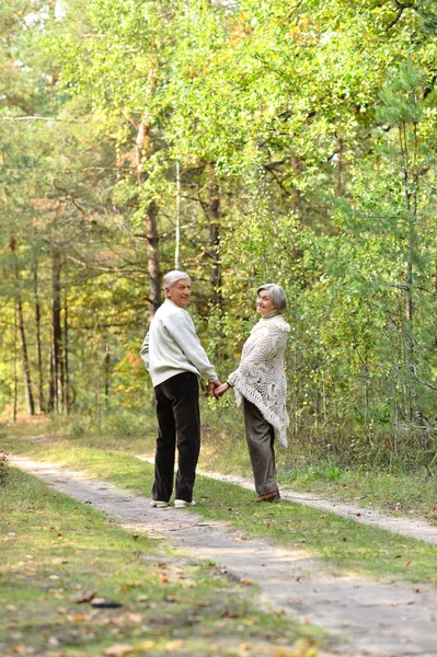 Old couple at park — Stock Photo, Image