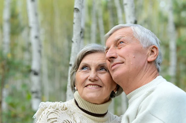 Oud koppel in park — Stockfoto