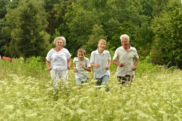 Older man and woman with their grandchildren — Stock Photo, Image