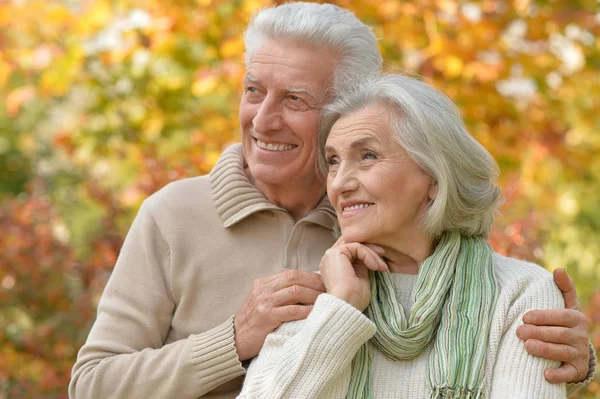 Porträt Eines Schönen Senioren Paares Das Sich Park Umarmt — Stockfoto