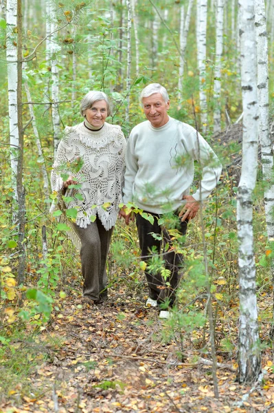 Gammalt par på park — Stockfoto