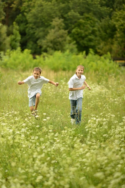 Dois irmãos correndo na natureza — Fotografia de Stock