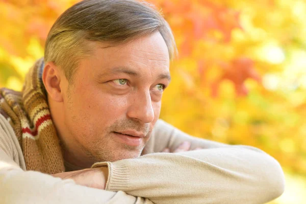 Retrato Belo Homem Confiante Posando Folhas Outono Fundo — Fotografia de Stock