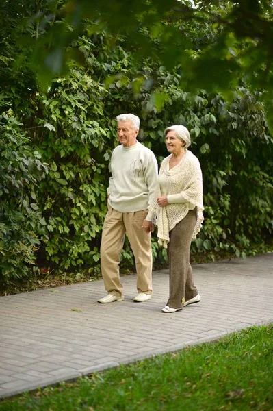 Äldre par i park — Stockfoto