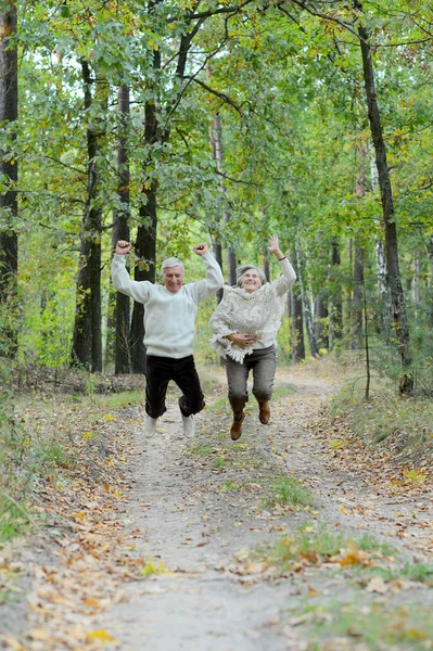 Feliz pareja de ancianos — Foto de Stock