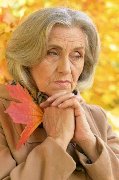 Woman holding  leaves — Stock Photo, Image