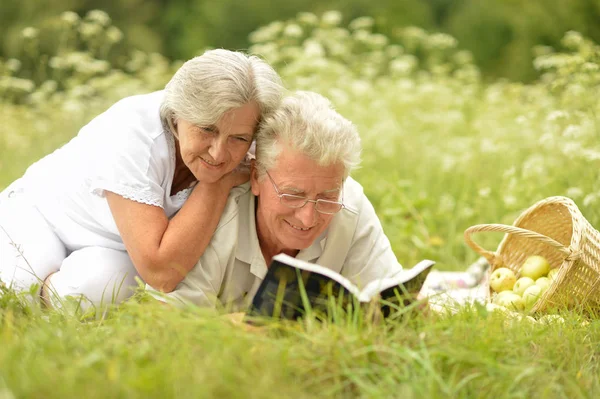 Loving elderly couple having a picnic — Stock Photo, Image