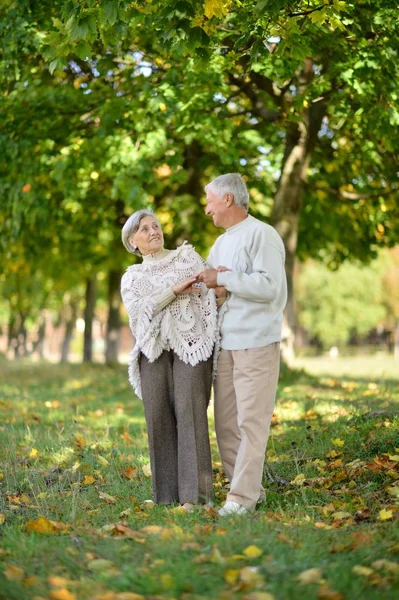 Liebenswertes älteres Paar ging in den Park — Stockfoto